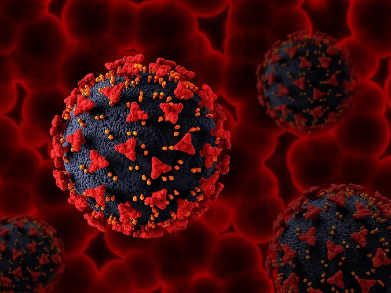 Hepatit B Nedir, Nasıl Bulaşır, Tedavi Yolları, Nasıl Geçer?