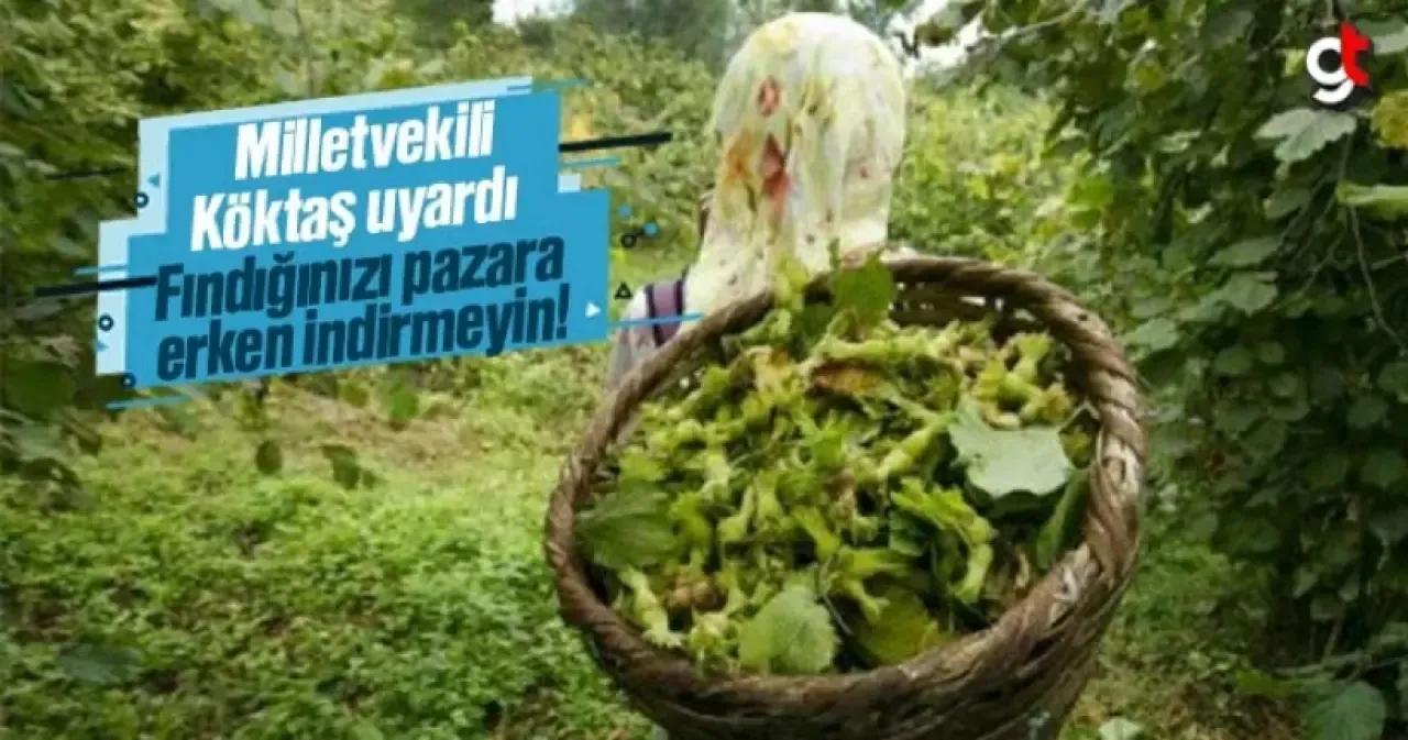 Fuat Köktaş, 'Fındığınızı pazara erken indirmeyin!'