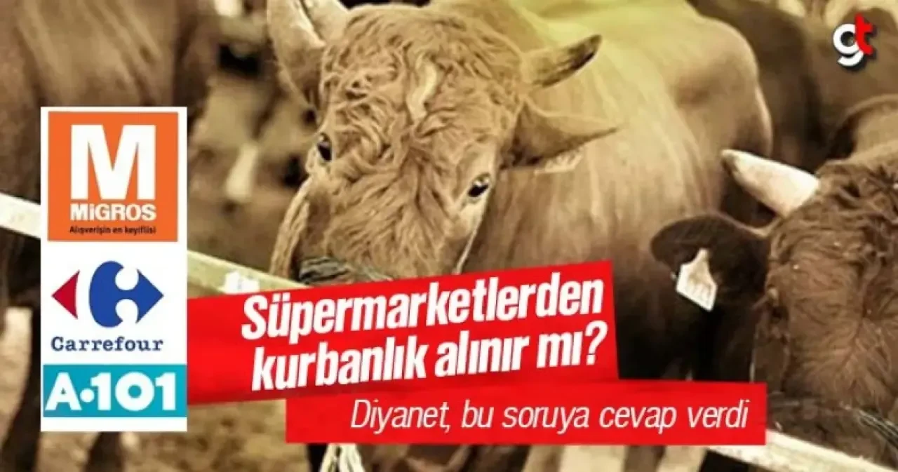 A101, Carrefour ve Migros gibi marketlerden kurban alınır mı?