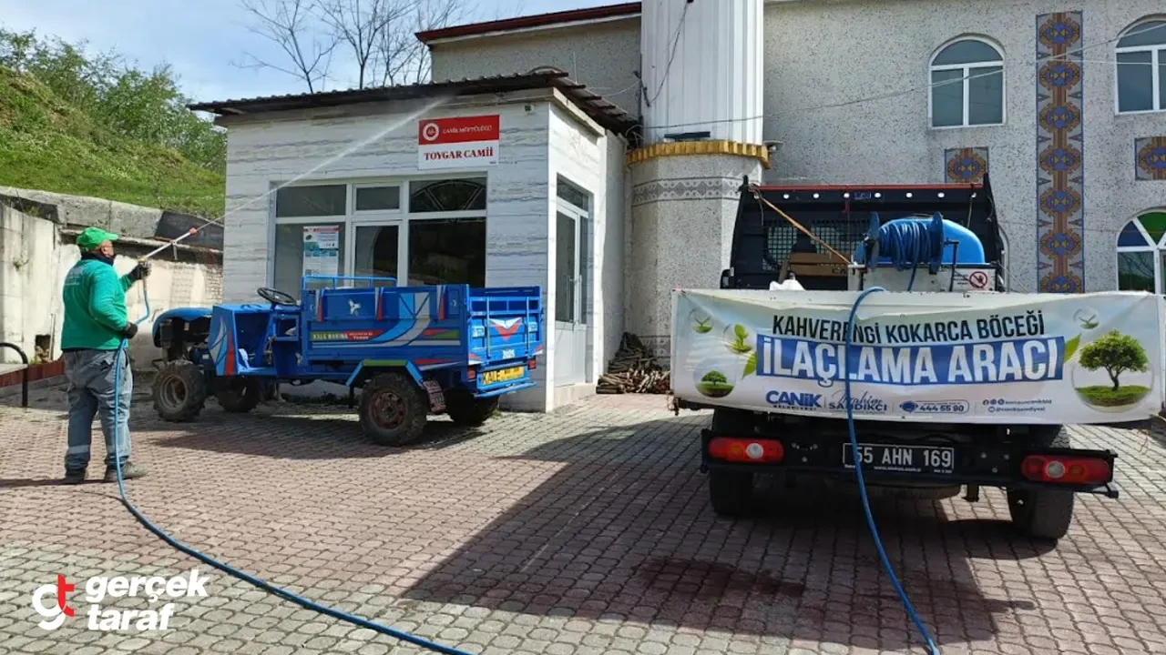 Canik'te Kokarca Alarmı: İlaçlama Çalışmaları Devam Ediyor