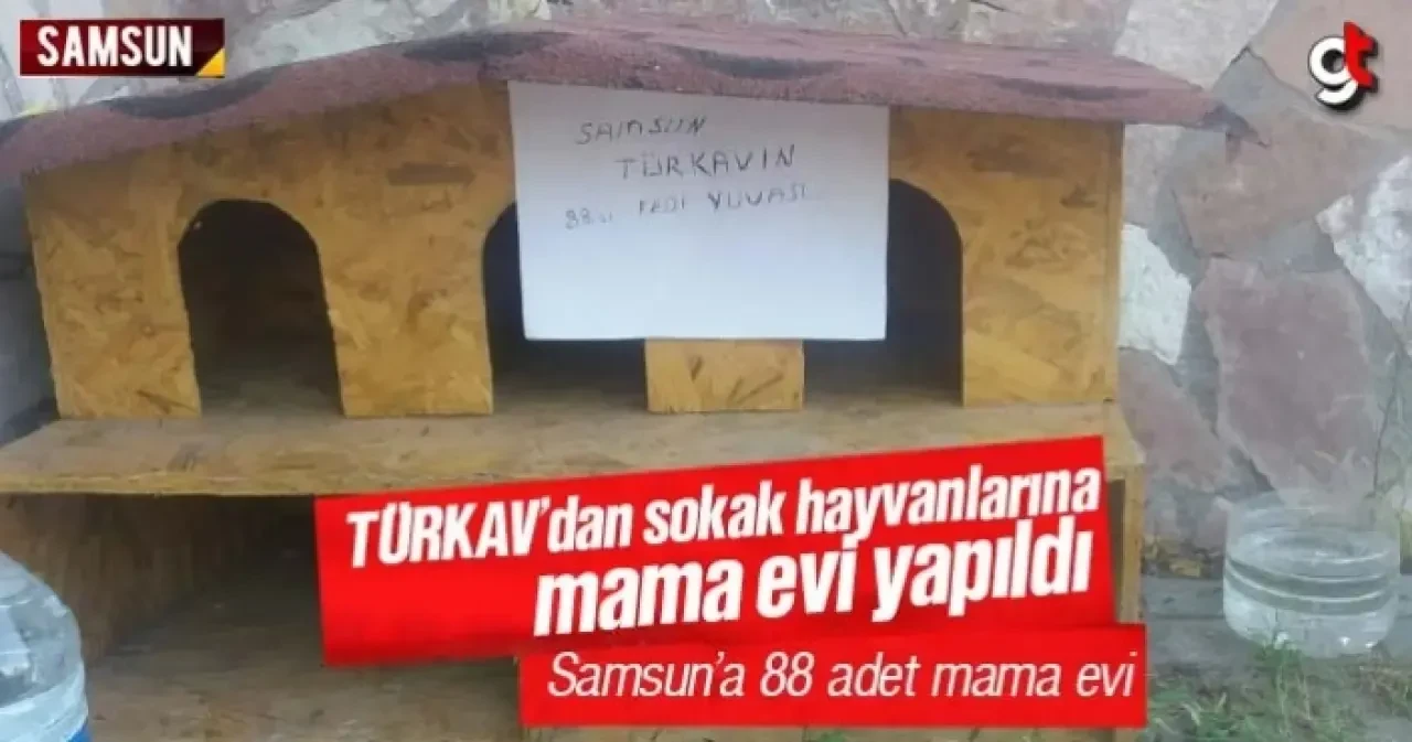 TÜRKAV’dan sokak hayvanlarına ev