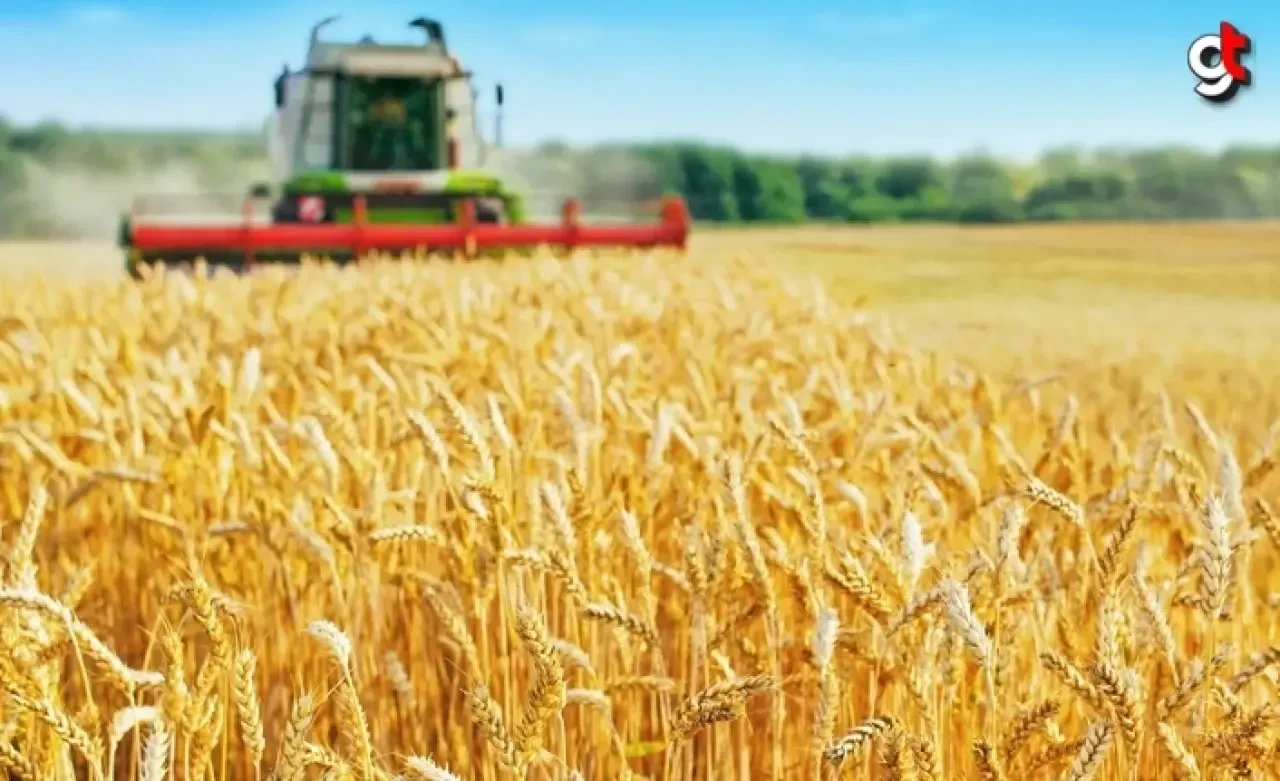 Taban Gıda'dan Samsun'a 5 Milyon Dolarlık Silo Yatırımı