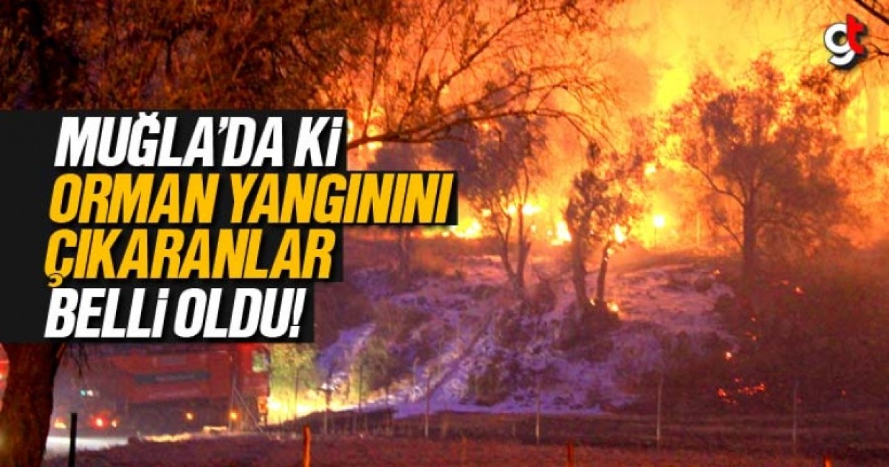 Muğla&#039;da ki orman yangınını PKK’lı teröristler çıkardı