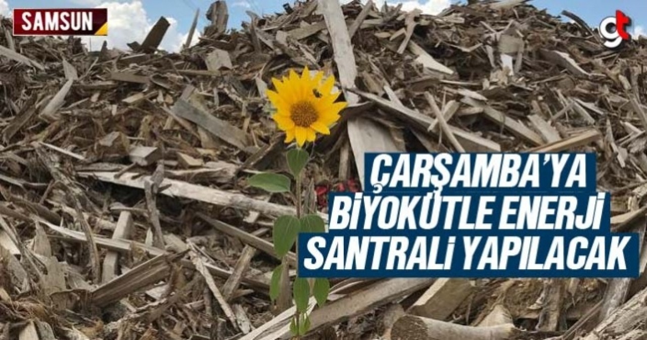 Çarşamba'ya Biyokütle Enerji Santrali yapılacak. Biyokütle Enerji Santralinin zararları var mı?