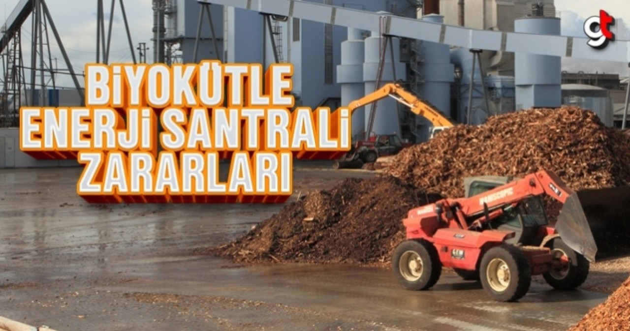 Biyokütle Enerji Santrali Zararları