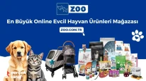 Zoo.com.tr ile Evcil Hayvanlarınız İçin En İyi Ürünler, En Ekonomik Fiyatlarla