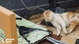 2 Öğrenci Gözaltına Alındı