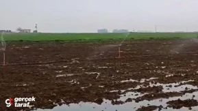 Yağmurlu Havada Bile Kaçak Elektrik Kullanarak Sulama Yapmışlar