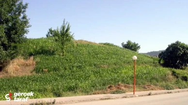 Samsun'un Gizemli Tepesi