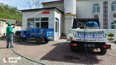 Canik'te Kokarca Alarmı