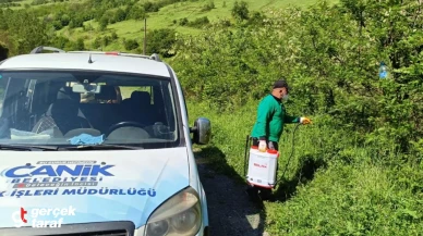 Kokarca Böceğine Feromon Tuzak