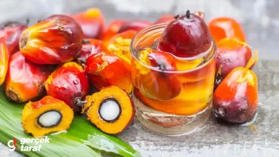 Palm Yağı Nedir, Neden Zararlı?