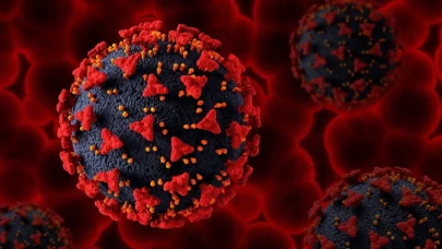 Hepatit B Nedir, Nasıl Bulaşır, Tedavi Yolları, Nasıl Geçer?