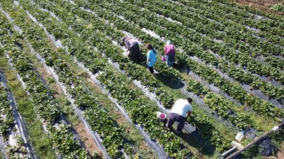Samsun Haber: Kavak'lı Çiftçiler Tüyap'ta Buluşacak