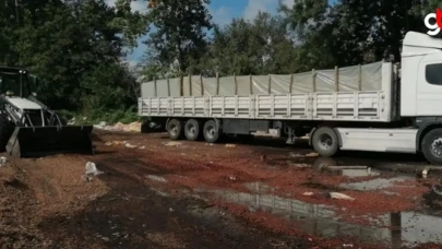 ÇİFTÇİNİN ATIĞI EKONOMİYE DÖNÜŞÜYOR