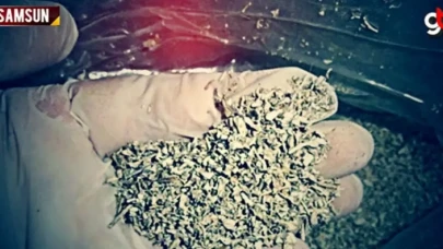 Otogarda bonzai çıktı