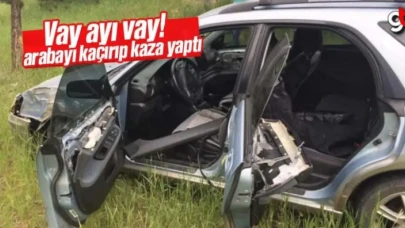Vay ayı vay! Arabayı kaçırıp kaza yaptı