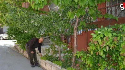 Evinin etrafını kovalarla "sebze bahçesi"ne dönüştürdü