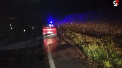 Giresun'da otomobilin çarptığı 4 yaşındaki çocuk öldü