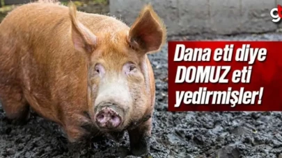 Dana eti diye Domuz eti yedirmişler