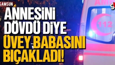 Annesini dövdü diye, üvey babasını bıçakladı