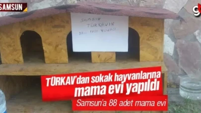 TÜRKAV’dan sokak hayvanlarına ev