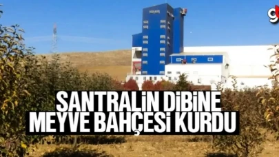 Biyokütle enerji santralinin dibine meyve bahçesi kurdu