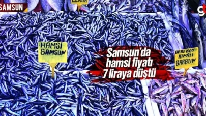 Samsun'da hamsi fiyatı 7 liraya düştü