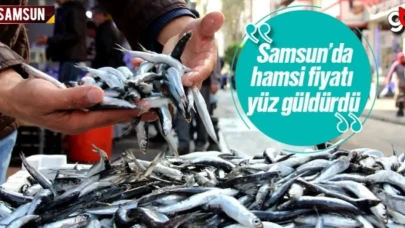 Samsun’da Karadeniz hamsi fiyatı ne kadar?