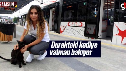 Samsun'da tramvay durağındaki kediye kadın vatman bakıyor