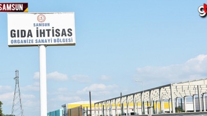 Samsun Gıda OSB amacı dışında mı kullanıyor?