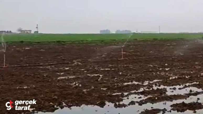 Yağmurlu Havada Bile Kaçak Elektrik Kullanarak Sulama Yapmışlar