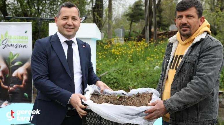 Çilek Üreticisine 1,5 Milyon TL Destek