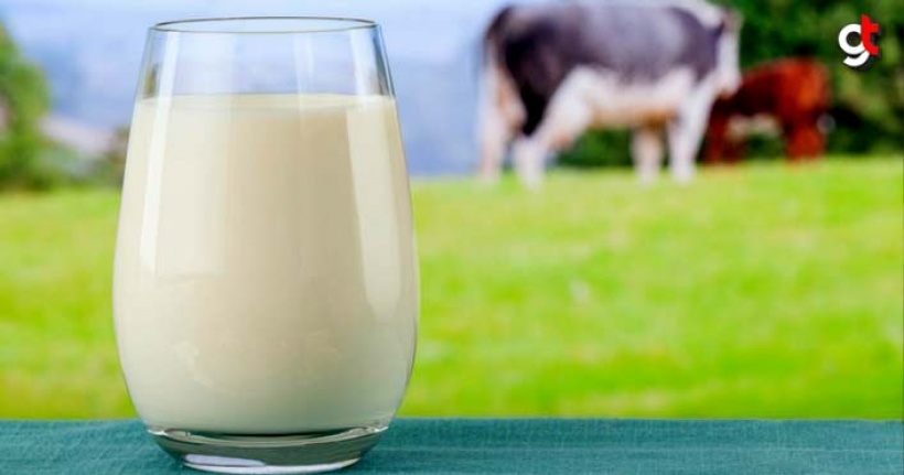 Sahurda Süt İçerek Uzun Süre Tok Kalabilirsiniz