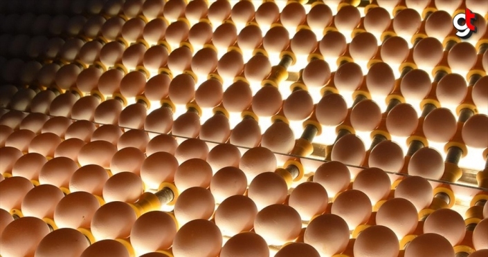 Yumurta üreticileri Arap pazarına yöneldi
