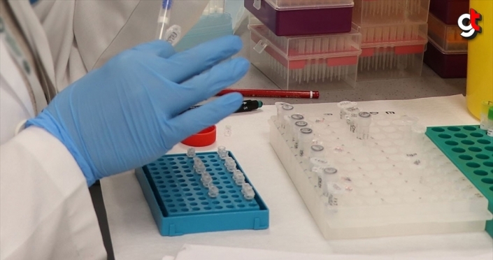 Geliştirilen basit bir kan testiyle 50'den fazla kanser türü tespit edilebildi