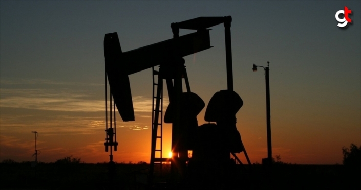 OPEC'in ham petrol üretimi şubatta azaldı