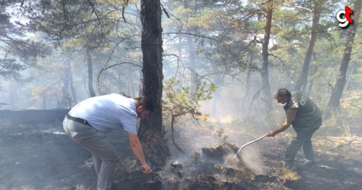 Amasya'da aynı yerde orman yangını çıktı, iki çoban gözaltına alındı