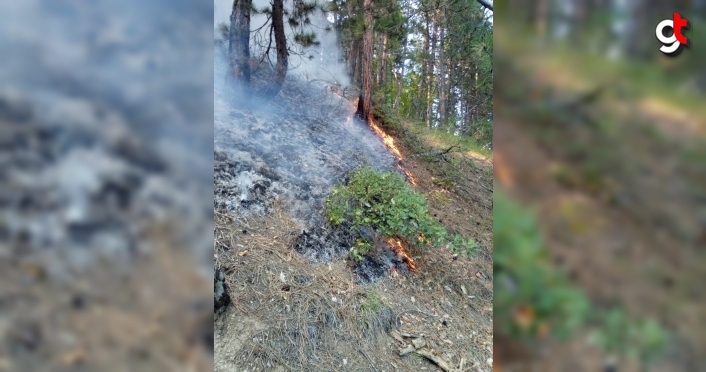 Kastamonu'da yıldırım düşmesi sonucu çıkan orman yangınında 1 hektar alan zarar gördü