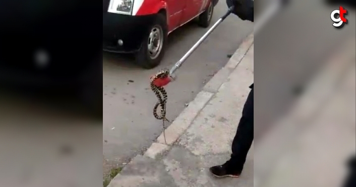 Karabük'te apartman bahçesindeki yılan itfaiye ekiplerince yakalanarak doğaya salındı