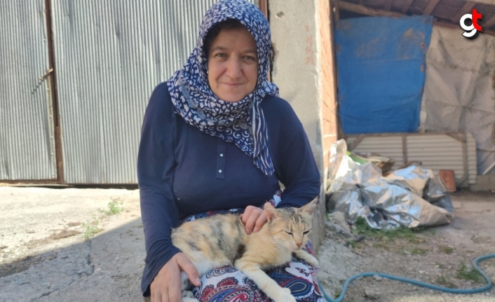 Amasya'da su kuyusuna düşen kedi yavrusu AFAD ve itfaiye ekiplerince çıkarıldı