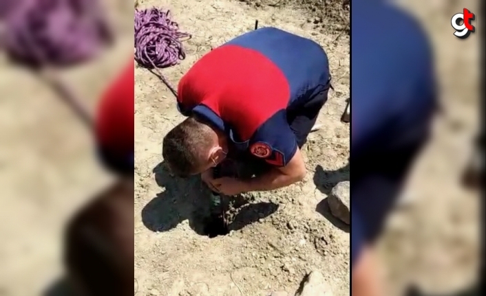 Düzce'de sondaj kuyusuna düşen yavru köpeği itfaiye kurtardı