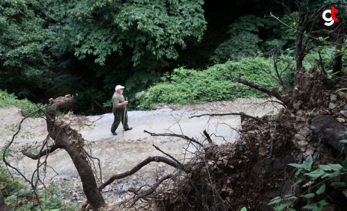 Bozkurt'un köylerinde sel felaketinin izleri ortaya çıktı