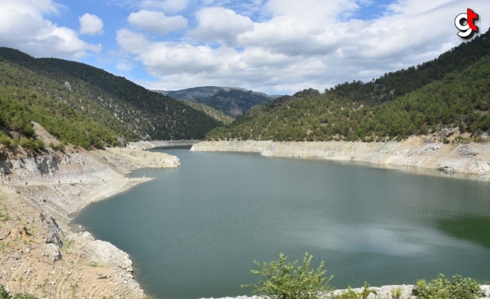 Sinop'ta baraj ve göletlere 100 bin sazan yavrusu bırakıldı