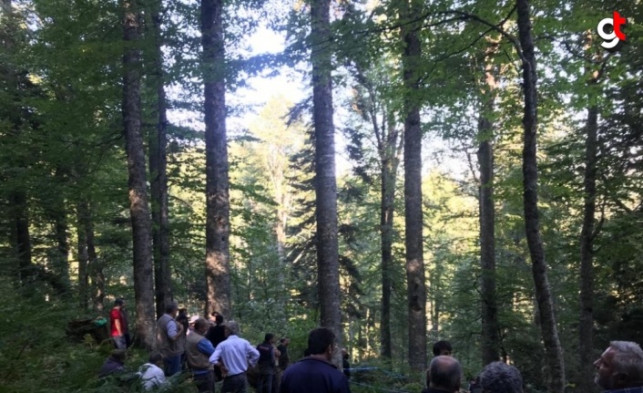 Kestiği ağacın altında kalan Gölormanı Köyü Orman Kooperatifi Başkan Yardımcısı Ay öldü