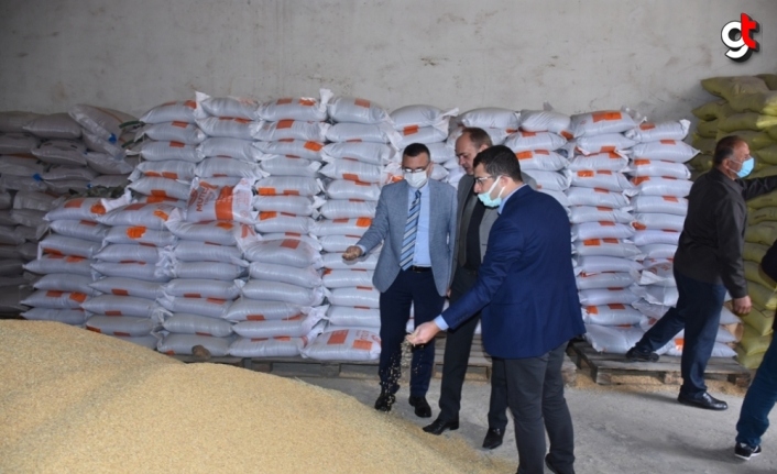 Sinop'ta üreticilere tohum desteği