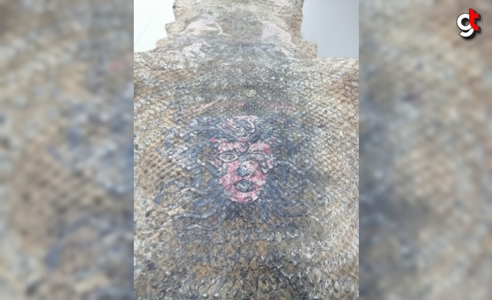 Karabük'te üzerinde İbranice yazılı figürler bulunan yılan derisi ele geçirildi