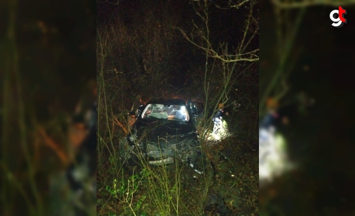 Zonguldak'ta ormanlık alana devrilen otomobildeki 4 kişi yaralandı