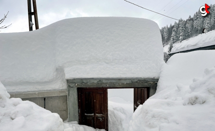 Kastamonu'da araçlar kalınlığı 2 metreye yaklaşan karın altında kaldı