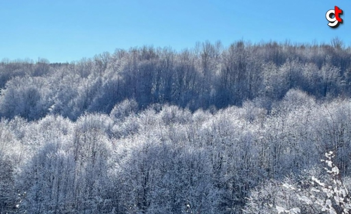 Zonguldak Kent Ormanı kar yağışıyla beyaza büründü